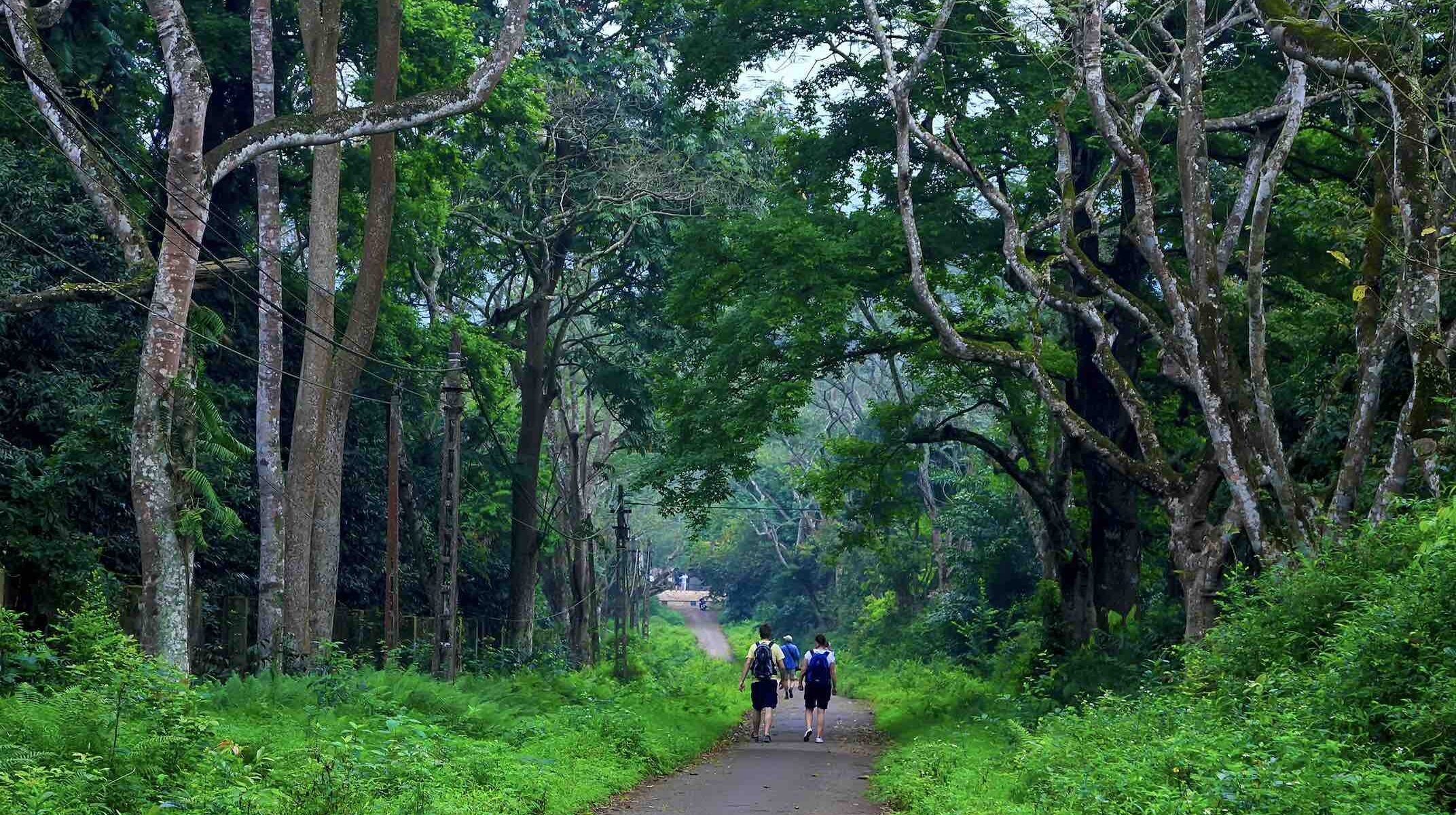 Cuc Phuong National Park